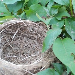 Meet your Posher, Mariola